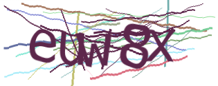 Enter the character string shown in the picture
