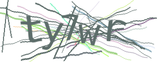 Enter the character string shown in the picture
