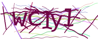 Enter the character string shown in the picture