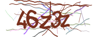 Enter the character string shown in the picture