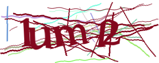 Enter the character string shown in the picture