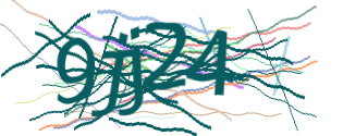 Enter the character string shown in the picture