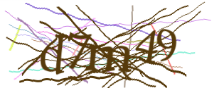 Enter the character string shown in the picture
