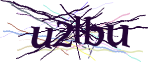 Enter the character string shown in the picture