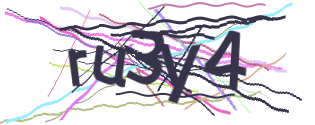 Enter the character string shown in the picture