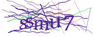 Enter the character string shown in the picture
