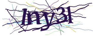Enter the character string shown in the picture