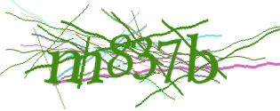 Enter the character string shown in the picture