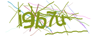 Enter the character string shown in the picture